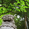 狛犬_渋谷氷川神社