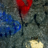 Tricolour + One
