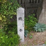 松本縄手通り