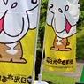 日光猿軍団来る！