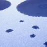 雪解け模様