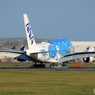 「青の空」Flying Honu スムーズな着地でした