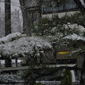 snow03