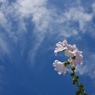 青空つかの間３