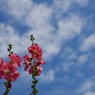 青空つかの間４