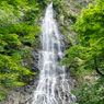 初夏の天滝２