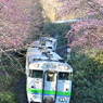 藤城線 5881D 4月21日