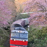 藤城線 3057レ 4月22日