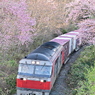 藤城線 3057レ 4月23日