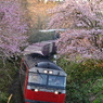 藤城線 3057レ 4月24日