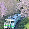 藤城線 5881D 4月24日 キハ40-1800
