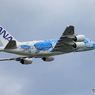 「クール」Flying Honu A380-841 JA381A 出発
