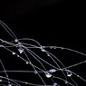 photo_1044703