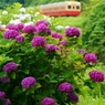 小湊鉄道の初夏！