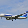 ANA 163