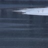 水と氷の造形