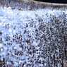 It splashes. 