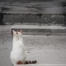 噛みしめる孤独・・・