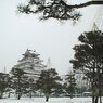 本丸広場から天守を望む