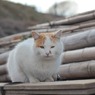 あんたも　鼻の横になんかついてるよｗｗｗ