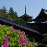 瑠璃光寺