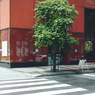 TOKYO GINZA SHISEIDO june 2021