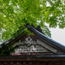 高原の社　（五葉目）