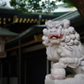 狛犬_穴八幡宮