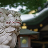 狛犬_穴八幡宮