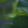 雨の日写真