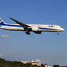 「青が大好き」ANA 787-9 JA893A 到着しました