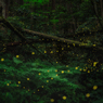 地上の星森