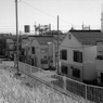 ３年Ｂ組ゆきゆき先生