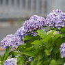 P6140035