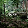 風景に溶け込む橋