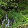 竜神の滝　２