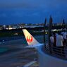JAL 193