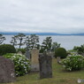 函館外国人墓地