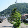 市電が通る風景