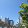 札幌駅前広場 2019年6月