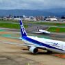 ANA 193