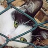 脱獄ごっこ…