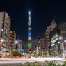 スカイツリーとひまわり