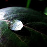 『Rain drop』光の集束
