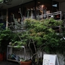 表参道界隈　５