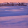 TWILIGHT ON THE CHURCH