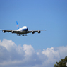 「青が好き」中国南方 A380-841 夏の雲とさくらの山
