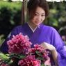 牡丹２