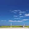 空と海が溶け合う場所のバス停