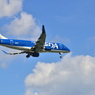 FDA 76